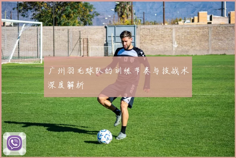 广州羽毛球队的训练节奏与技战术深度解析