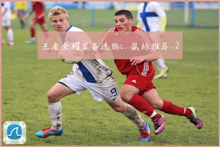 王者荣耀装备选购：鼠标推荐_2