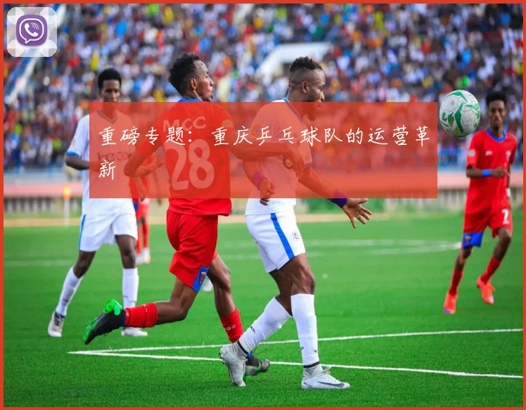 重磅专题：重庆乒乓球队的运营革新