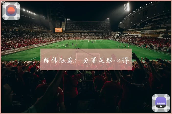 陈伟独家：分享足球心得