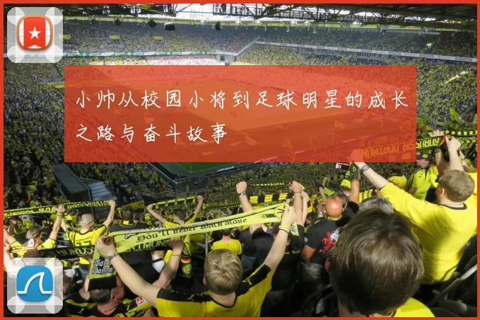 小帅从校园小将到足球明星的成长之路与奋斗故事