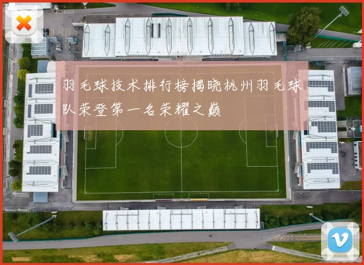 羽毛球技术排行榜揭晓杭州羽毛球队荣登第一名荣耀之巅