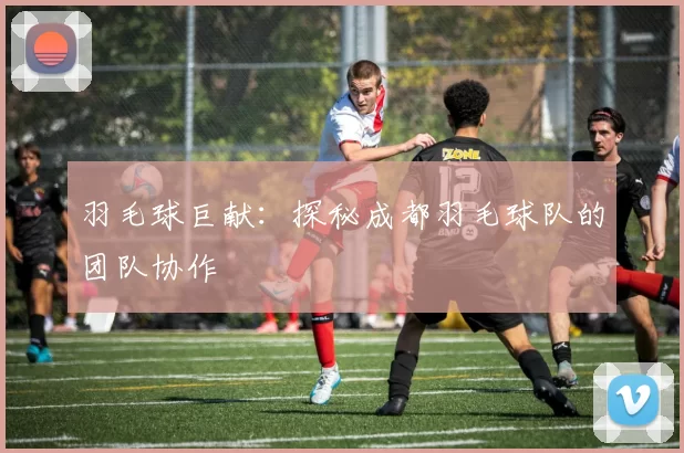 羽毛球巨献：探秘成都羽毛球队的团队协作